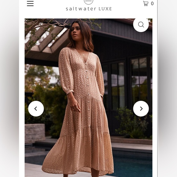 saltwater LUXE Dresses & Skirts - Saltwater luxe Deklan Maxi Dress